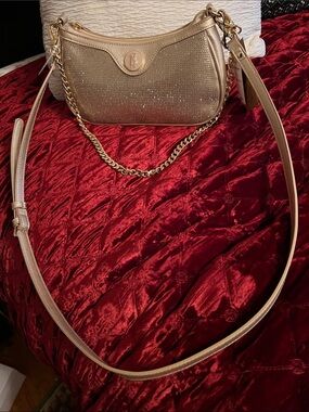 Steve Madden BBickie Crossbody or Shoulder Bag in Champagne Sparkle